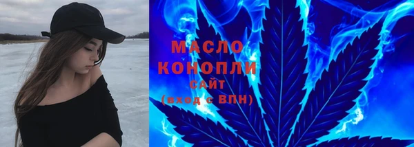 тгк Новозыбков