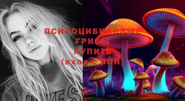 тгк Новозыбков