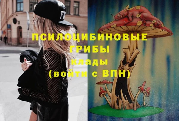 тгк Новозыбков