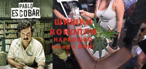 тгк Новозыбков
