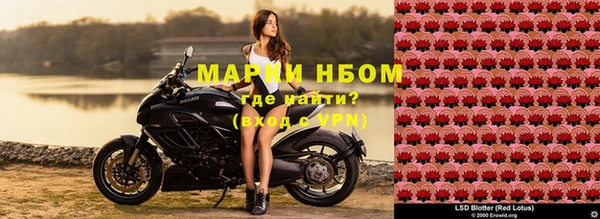 тгк Новозыбков