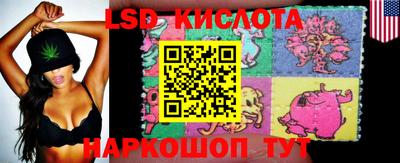 индика Ставрополь
