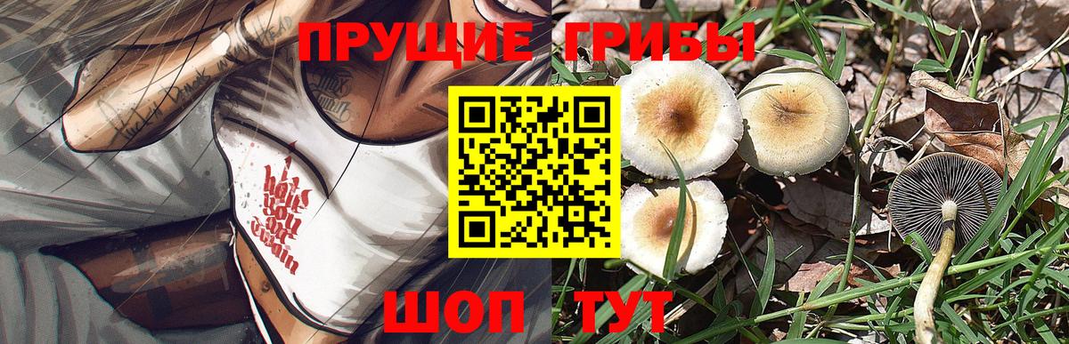 Псилоцибиновые грибы ЛСД  Псилоцибиновые грибы GOLDEN TEACHER  Сатка  Вход с VPN 